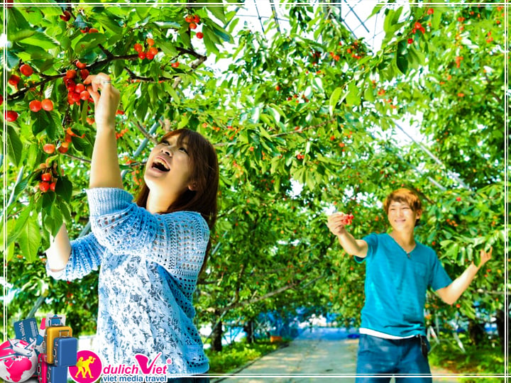 Du lịch Úc Sydney - Canberra - Melbourne - Ballarat mùa xuân từ Tp.HCM